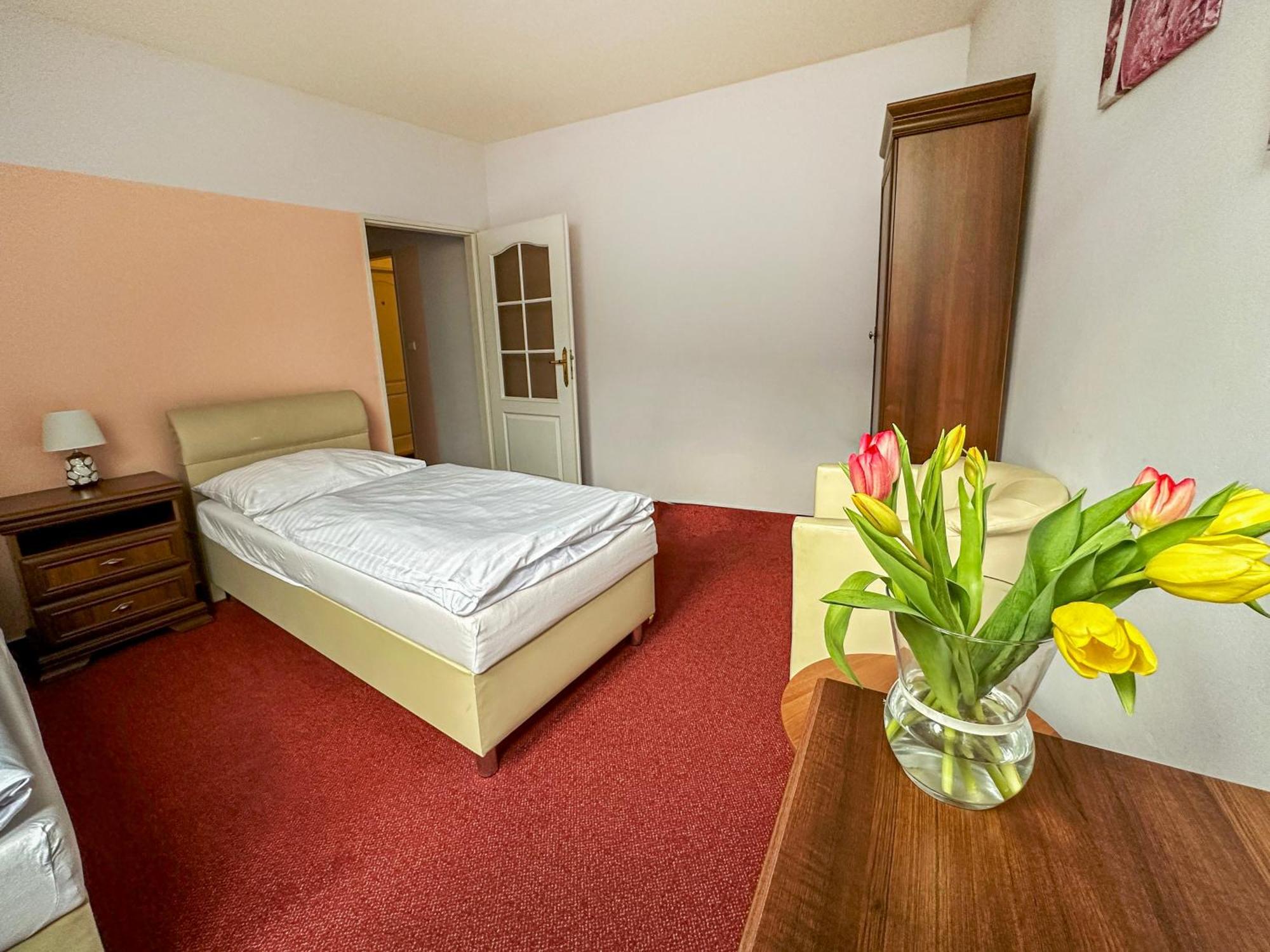 Hotel Růžek Hranice  Buitenkant foto