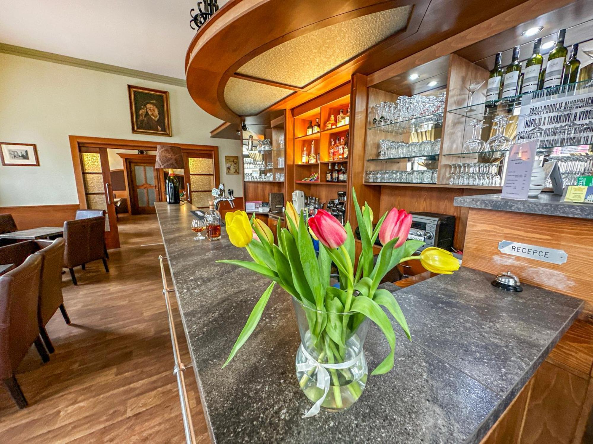 Hotel Růžek Hranice  Buitenkant foto
