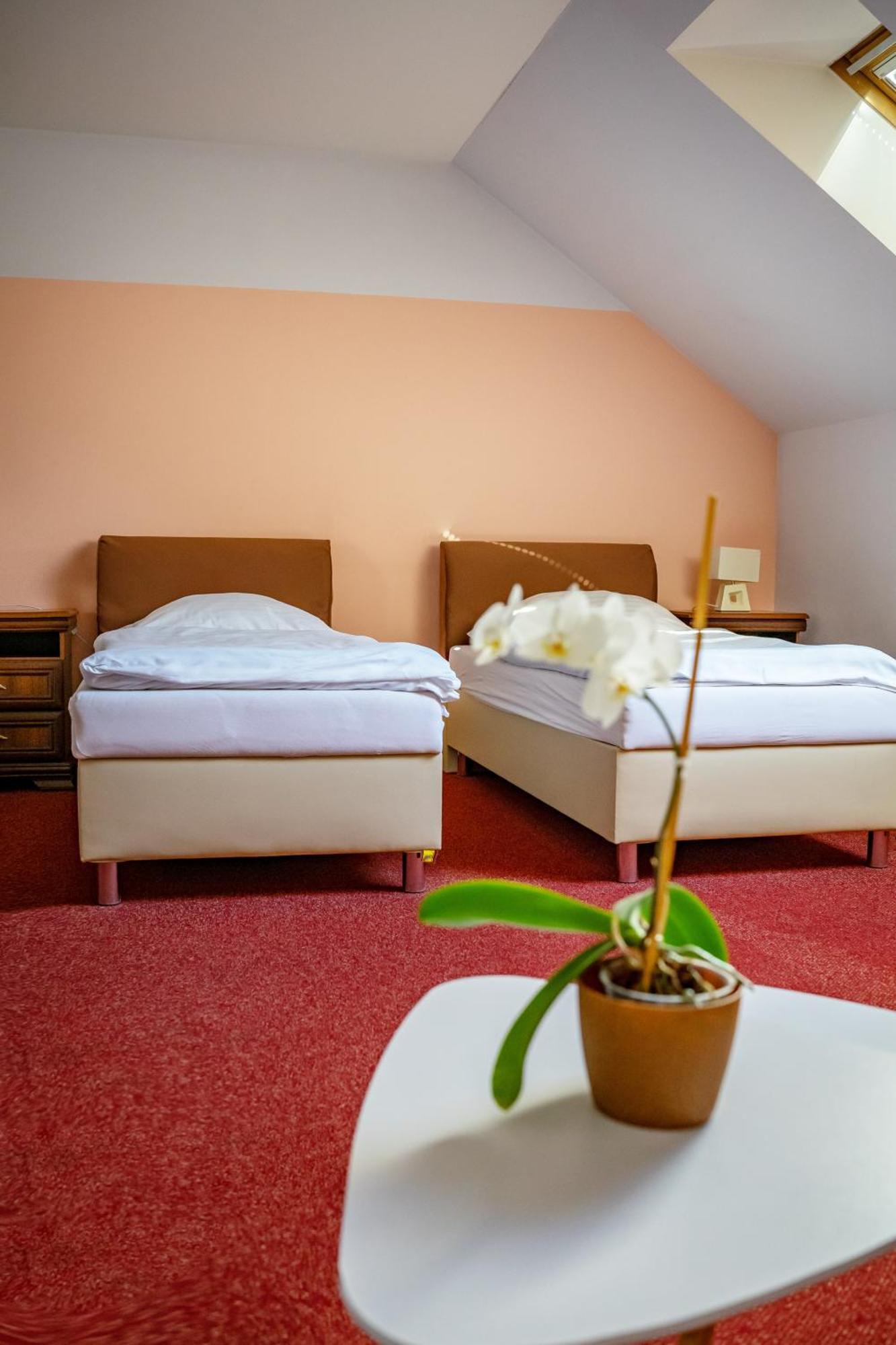 Hotel Růžek Hranice  Buitenkant foto
